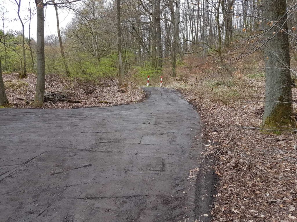 PHOTO-2022-12-29-19-46-29 3