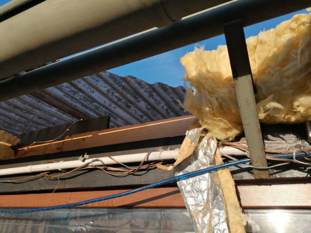 PHOTO-2022-12-29-19-51-34