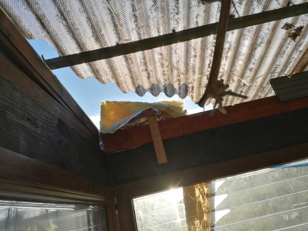 PHOTO-2022-12-29-19-51-35